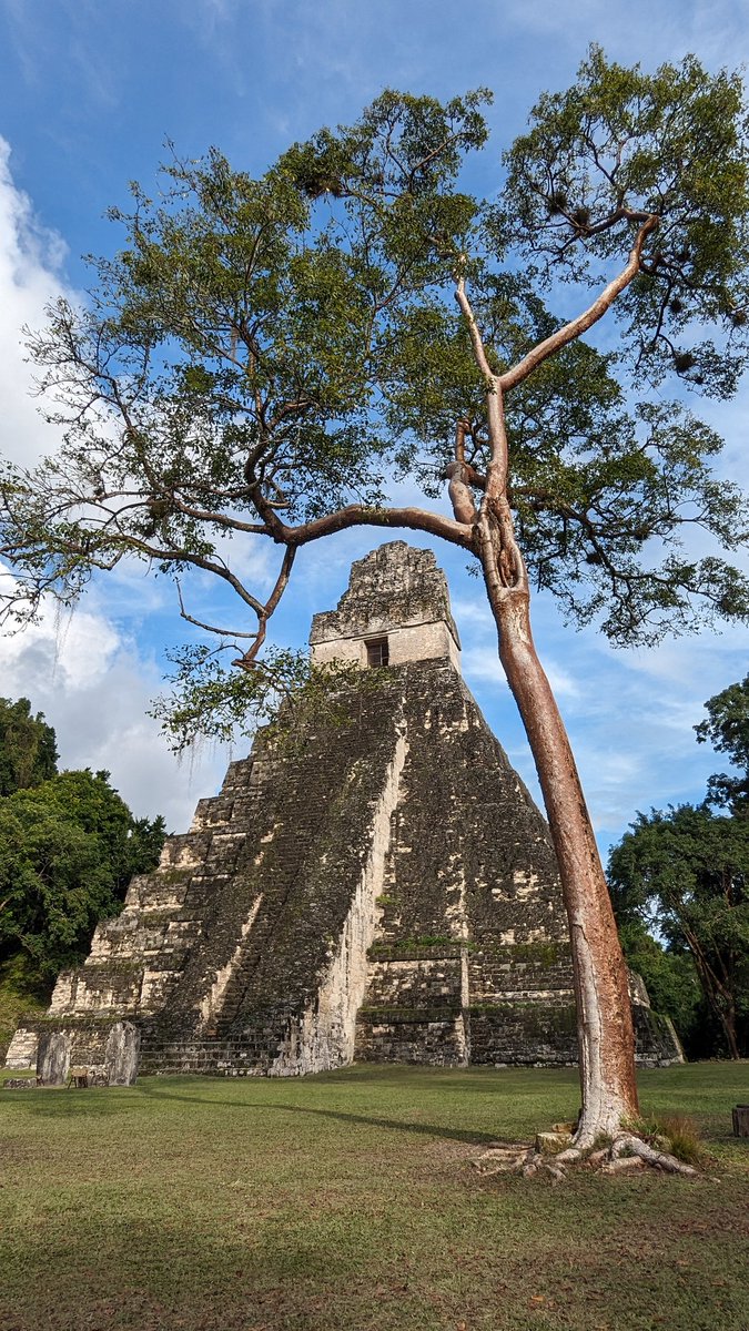 undertourists's tweet photo. Looking for your next intrepid adventure? 

#Travel to unforgettable #Guatemala and you could explore famous #Tikal. 

Dating from as far back as 4th Century BC, it's full of crumbly temples &amp; palaces. 

Hire a guide for amazing sunrise or sunset. 

It's true #bucketlist stuff! https://t.co/wLi0ttK7MC