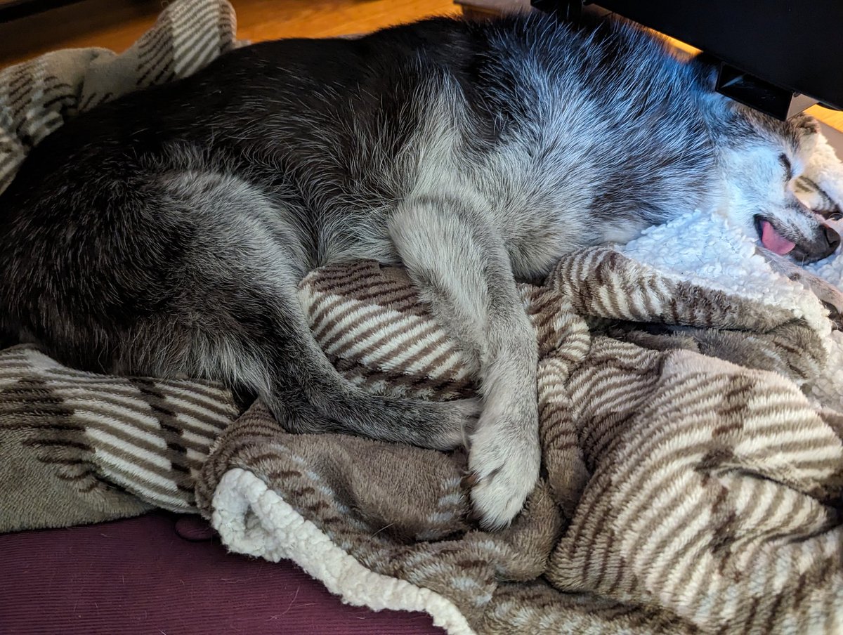 MilesSleeping's tweet photo. https://t.co/DweqvxAG8P