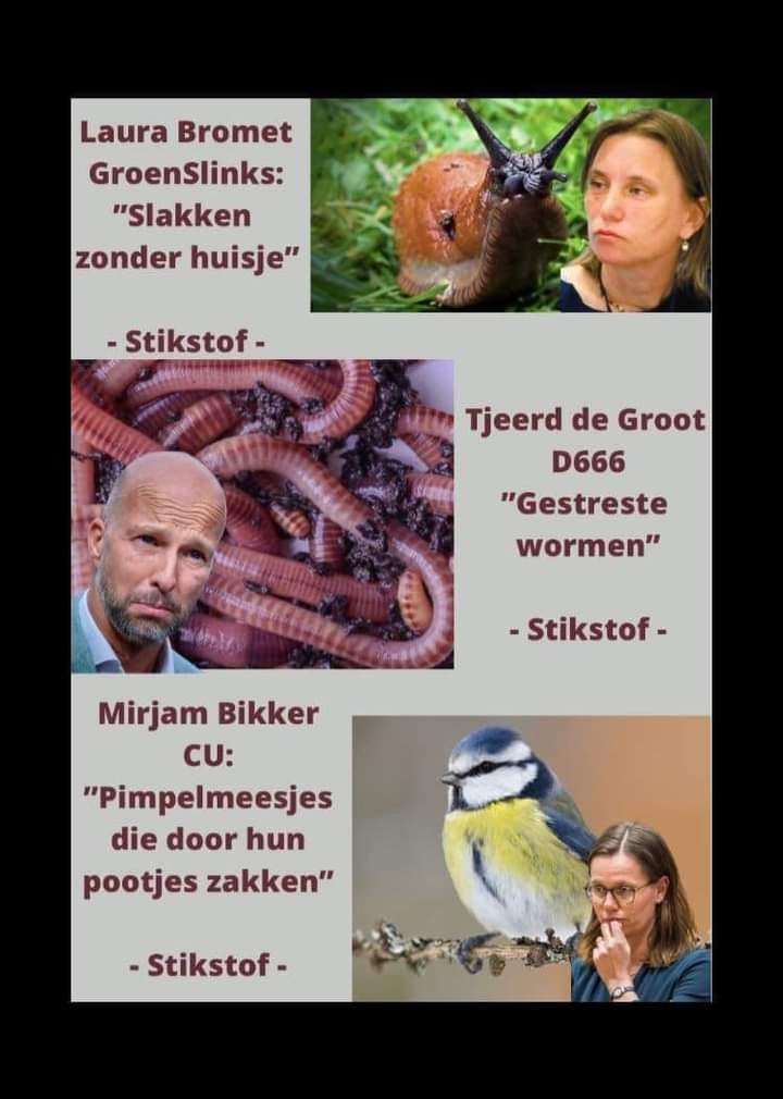 WhoElse53's tweet photo. Je vraagt je toch echt af wat voor stel idioten dit land besturen? En wanneer komt de nieuwe regering? Of zitten ze nog snel in hun achterkamers iets te bekokstoven? https://t.co/sTZaIA0QzO