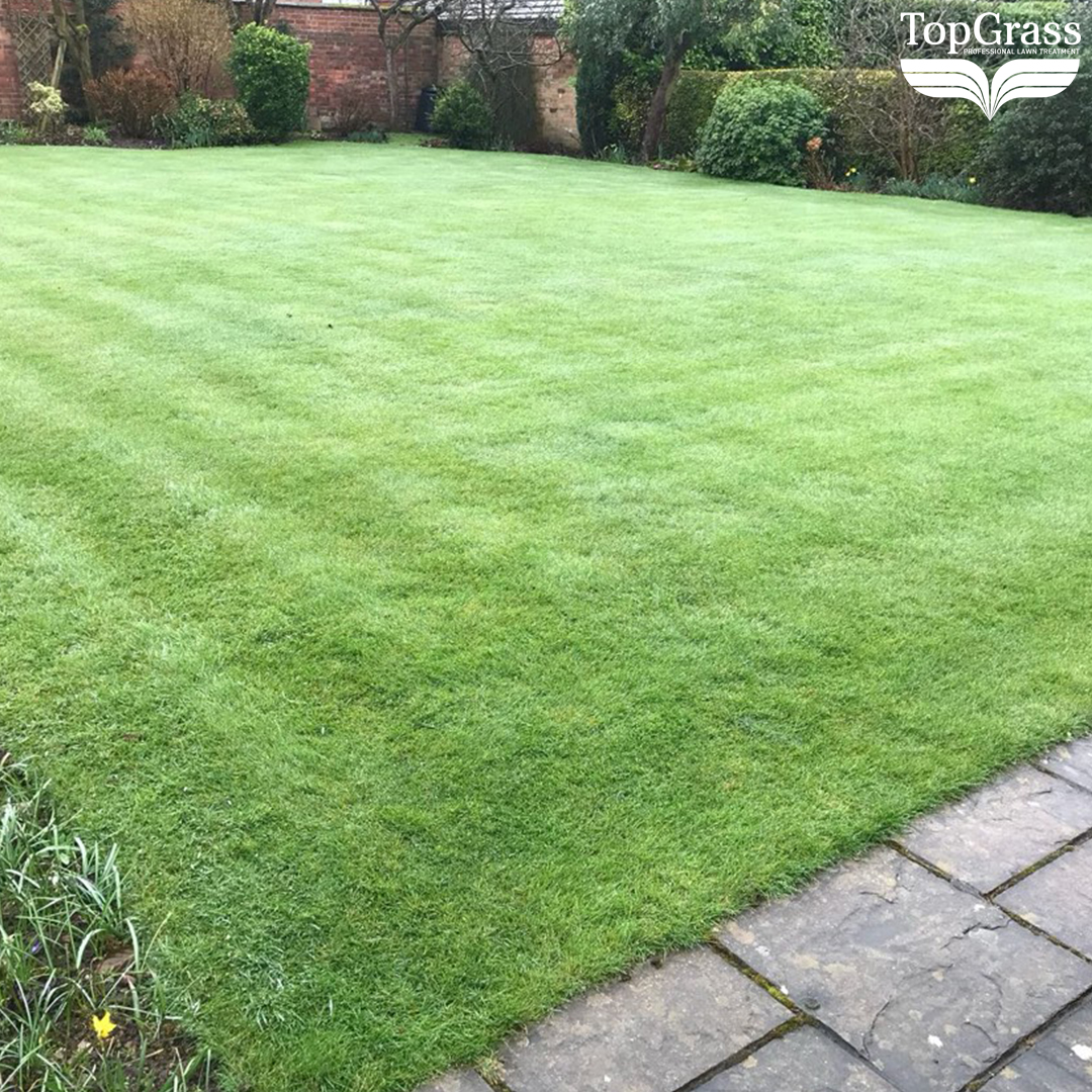 TopGrass tweet media