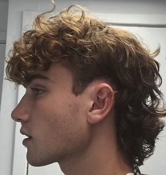 prefeitorj's tweet photo. mullet é literalmente a coisa mais atraente do mundo e ninguém me prova o contrário https://t.co/qqHJWHq9GC