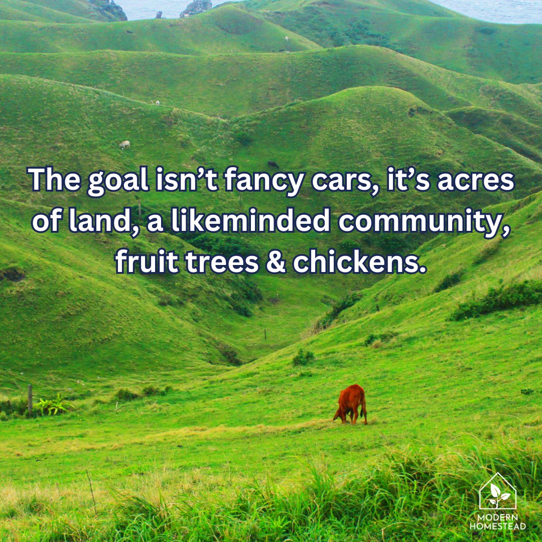 ModernHomeHQ's tweet photo. We may not know what TF we are doing, but at least we have our priorities straight! 😝

#modernhomestead #homestead #offgrid #offgridliving https://t.co/5udafjHnyH
