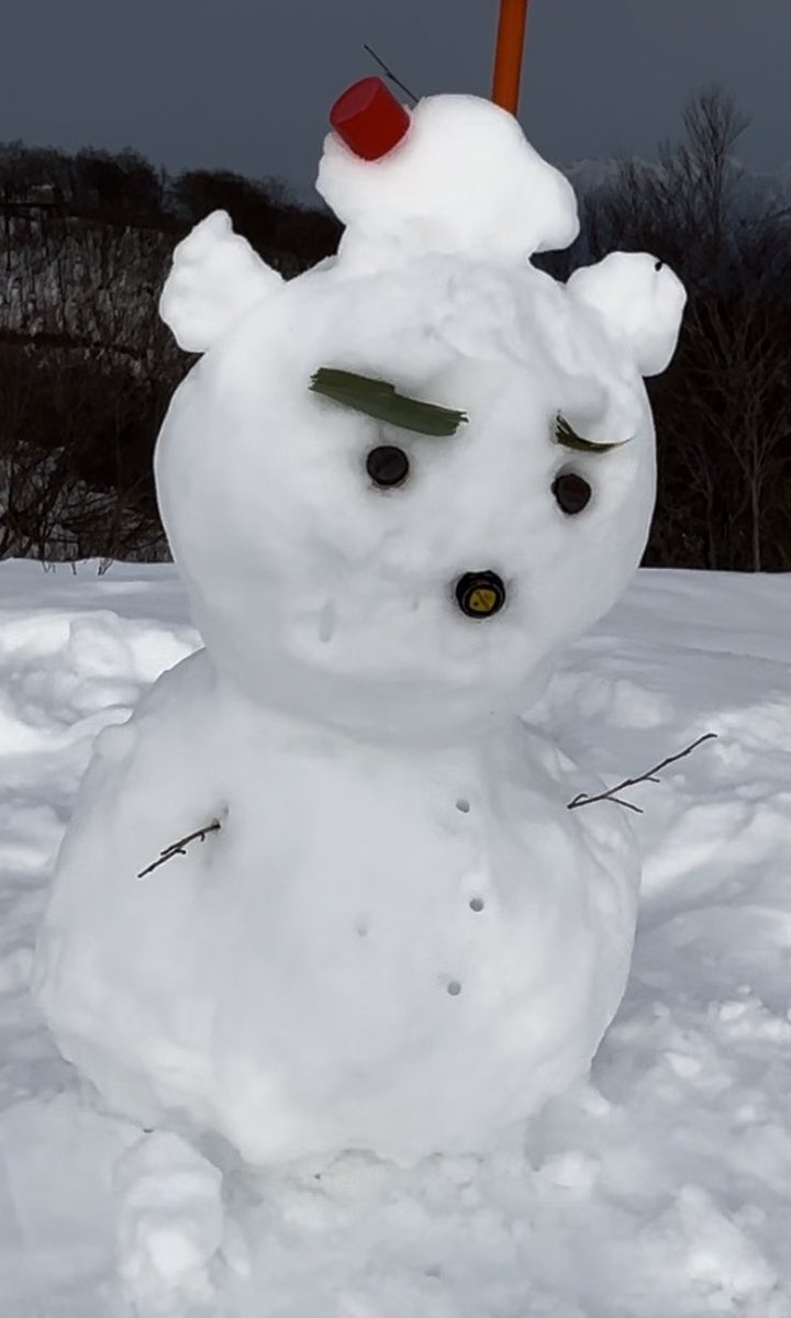 新年明けましておめでとうございます。
今年こそ裏アカを活発に動かしていくので皆さんよろしくお願いします🙇
年始に行ったスキー場の雪だるまの写真です⛄️