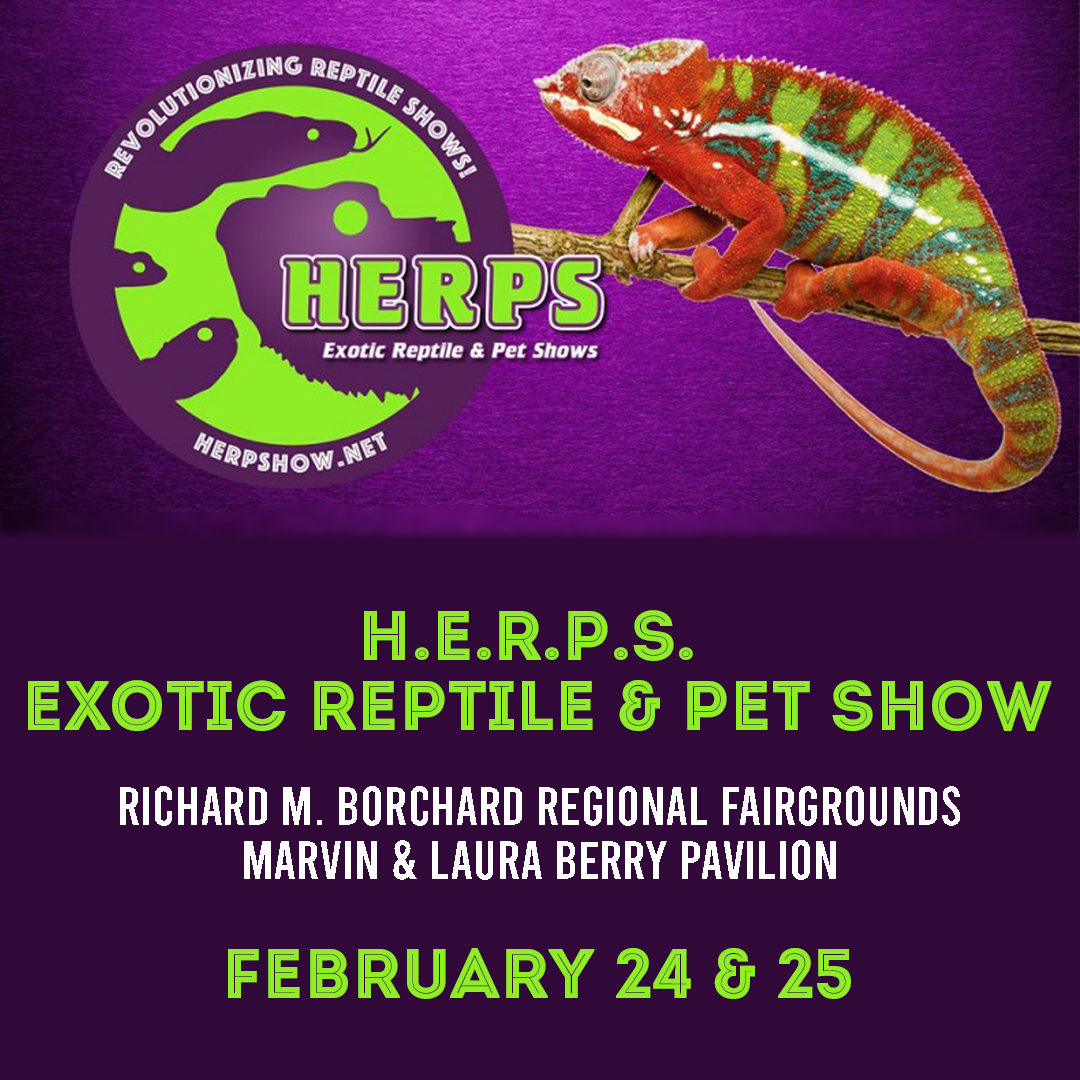 🐍Reptile Enthusiasts! 🦎 Join us at the H.E.R.P.S Reptile Show a day filled with slithering wonders, scaly friends, and much more ⭐
 📅Date: February 24 &amp; 25
 📍 Location: RMB Fairground