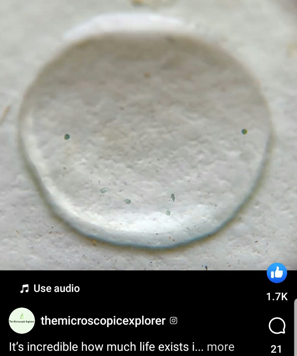 EjaeWild's tweet photo. 🏳️‍🌈🍻🧜‍♂️🛸⚣ #GayMerman ⚣⛤🔮🌿🏳️‍🌈

💧 Tap or click on the link below!
👇
https://t.co/6K4qytSBov 💧

🏳️‍🌈🍻🧜‍♂️🛸⚣ #GayMerman ⚣⛤🔮🌿🏳️‍🌈 https://t.co/fedDWprxG7