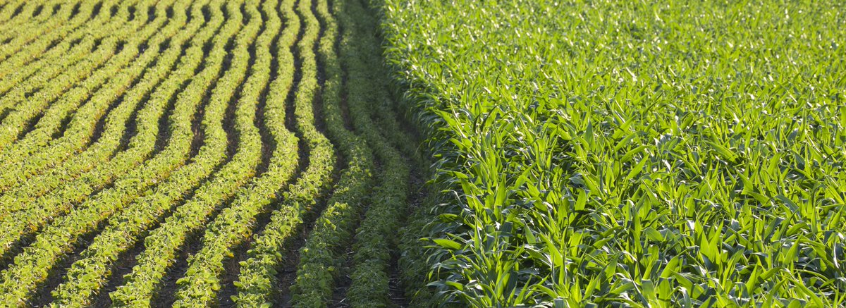 Ecosystem Services Market Consortium tweet media