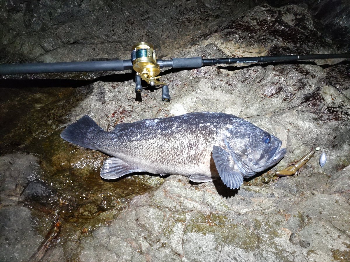 9ちゃん@ノーブラおじさん tweet media