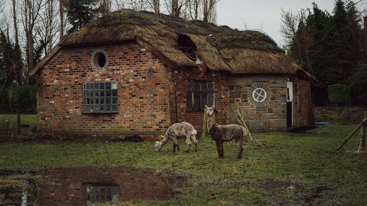 Igor_Bystander's tweet photo. Walking around Hale/Altrincham
#Hale #Photography #Nikon #photo https://t.co/uRuEhUrUJD