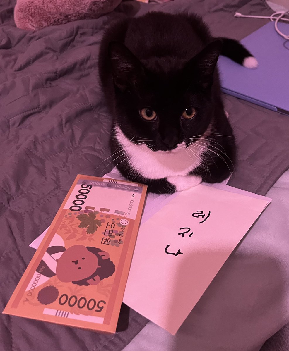 ysregii's tweet photo. oh yea this is the new bby in question ❣️
isn’t she so cute 🥹
first pic is her tryna steal my new years money 🫣 last pic is how smol she was when we first got her 😭🫶🏼 https://t.co/4nzFarf9JE
