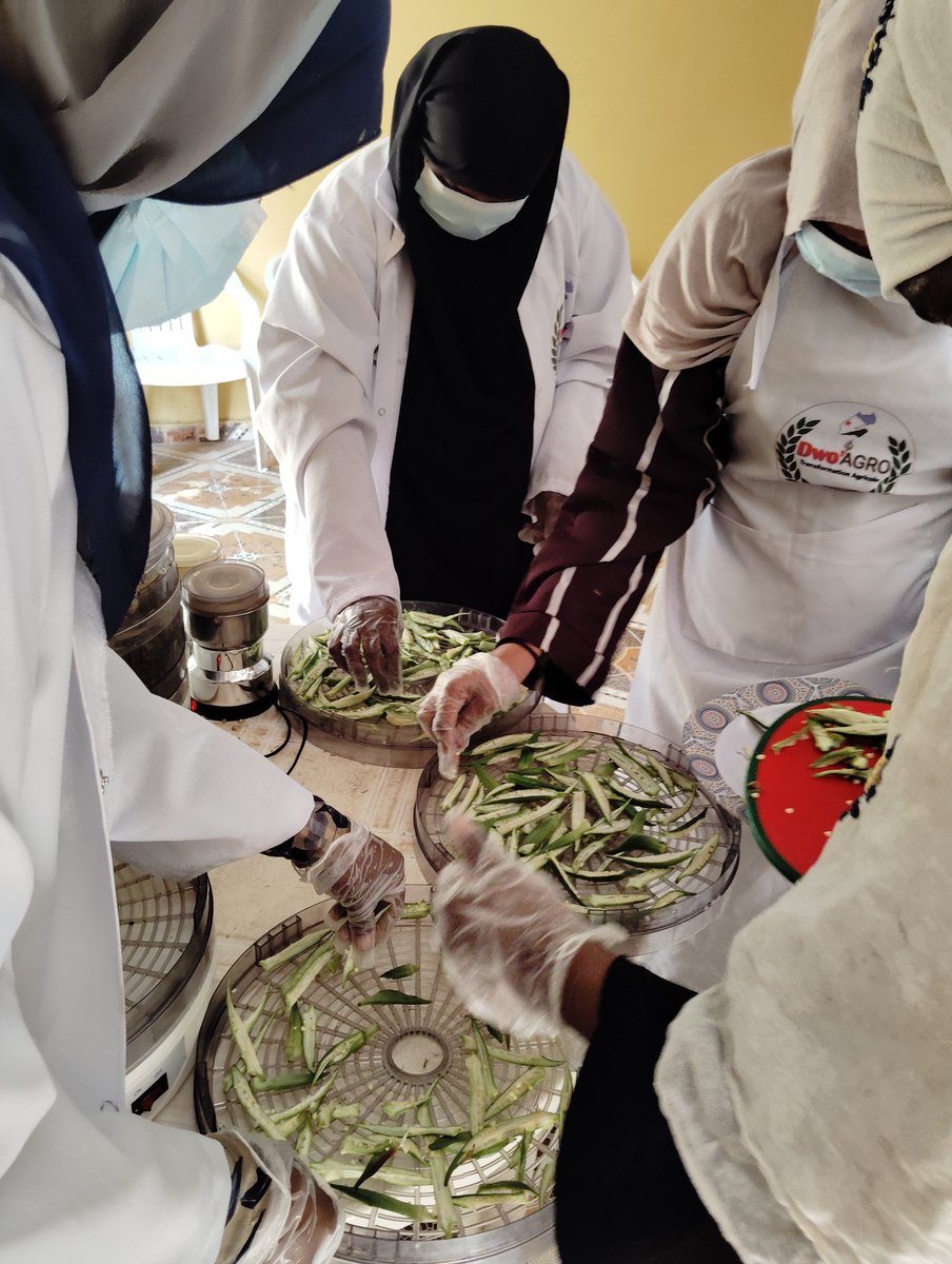Kadrakhayrbadan's tweet photo. Aujourd'hui marque le début de la première session de stage/formation sur la transformation des aliments en poudre, organisée par DWO'AGRO pour les jeunes filles de la localité Damerjog. 
#TransformtionAgricole
#developmentdurable 
#dwoagro
#Djibouti
#Damerjog https://t.co/YPn8FPzBxG