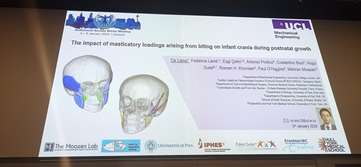 Anatomical Society (@anat_soc) on Twitter photo Next up is <a href="/moazenlab/">Moazen Lab</a>, UCL, talking about the impact of masticatory loadings arising from biting on infant crania during postnatal growth #AnatSocWinter #anatomy Next up is <a href="/moazenlab/">Moazen Lab</a>, UCL, talking about the impact of masticatory loadings arising from biting on infant crania during postnatal growth #AnatSocWinter #anatomy