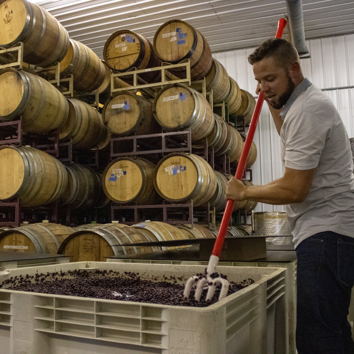 RD_NewJersey's tweet photo. This #WeFundedThat Wednesday, we alliterate with wine & showcase ...🍷
@UnionvilleWines received a $75k grant thru REAP for FREE energy
@SalemOakWine used $50k grant to build their brand and streamline bottling thru our Value-Added program
Programs➡️: https://t.co/K523RtUSPt https://t.co/RuUCKN1K0u