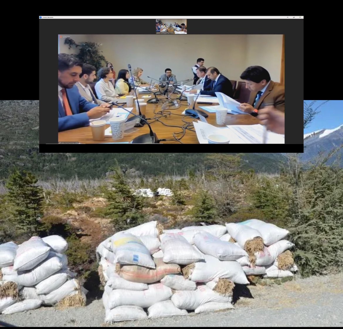 ❗️Defendamos Patagonia❗️ tweet media