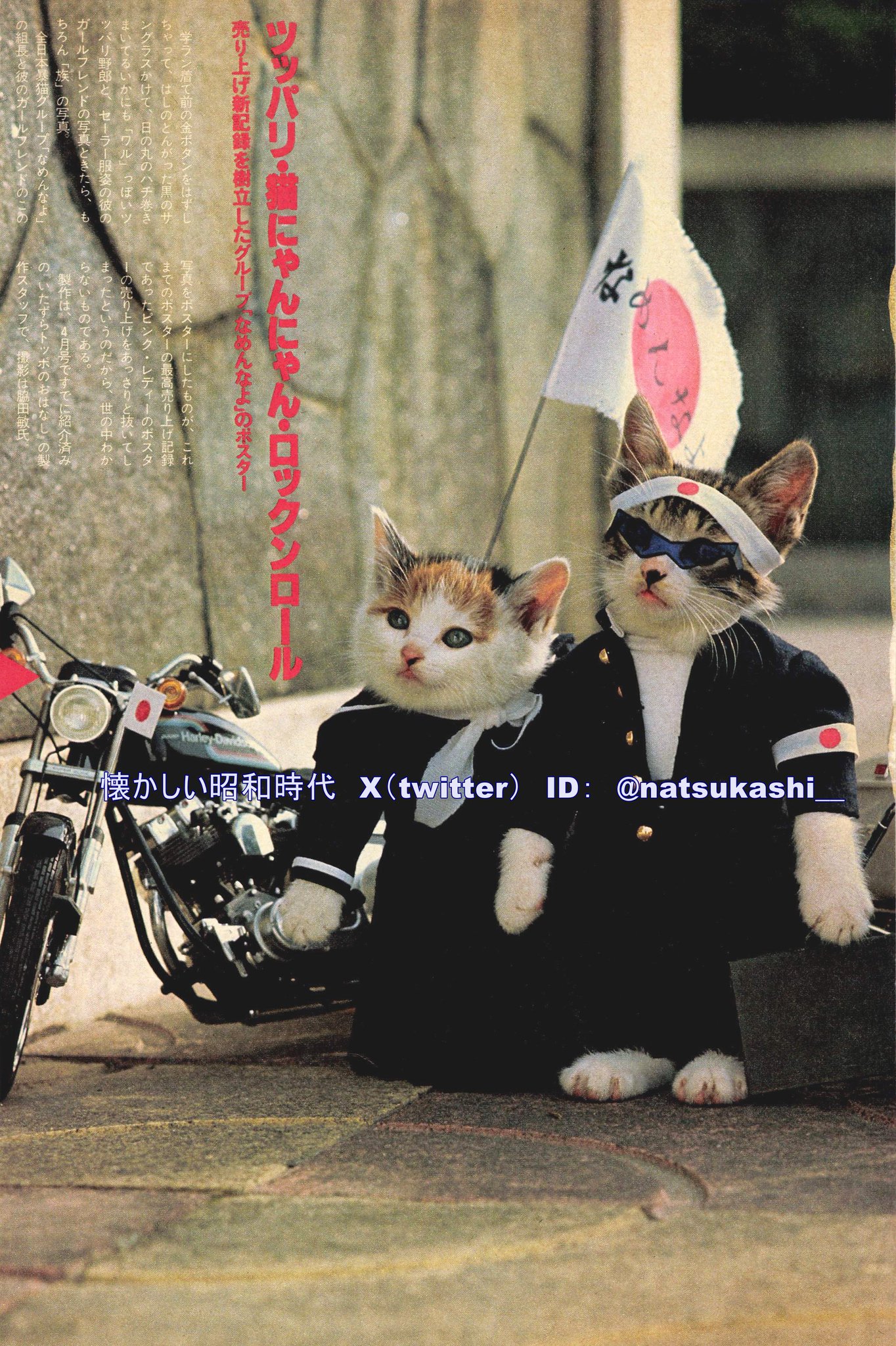 GC7ZPA7bkAATEvF.jpg:large