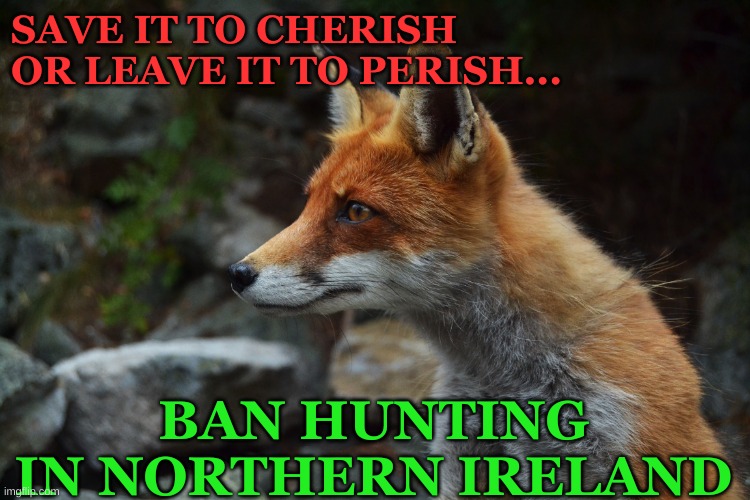 <a href="/BanbloodsportNI/">🦊🐇Ban bloodsports NI🦡🦌</a> <a href="/AntiHuntingNI/">Anti Hunting NI #TeamFoxNI 🇺🇦</a> <a href="/SupportABanNI/">STOP HUNTING NI🦊 <a href="/banbloodsports/">Ban Blood Sports</a>ni.bsky.social</a> <a href="/FoxWarriorsNI/">Fox Warriors Northern Ireland #TeamFoxNI #pigoneer</a> <a href="/TeamFoxNI/">༺⁺✮Foxy✮⁺༻㋡#TeamFoxNI #AntiHunting</a> <a href="/MikeyFoxNI/">Fox Allies Northern Ireland</a> <a href="/sinnfeinireland/">Sinn Féin</a> <a href="/USPCA_Official/">USPCA Official</a> @banbloodsports <a href="/BelfastLive/">Belfast Live</a> <a href="/duponline/">DUP</a> #TeamFoxNI