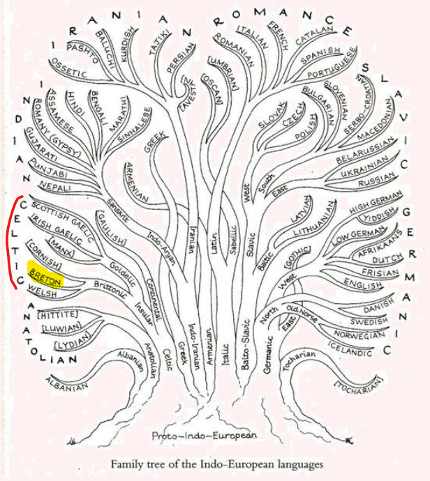 Yann2229354456's tweet image. #brezhoneg #celtic #LanguageDiversity #FamilyTree