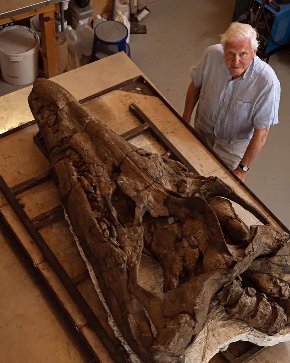 Cumulus Outdoors 💙 tweet media