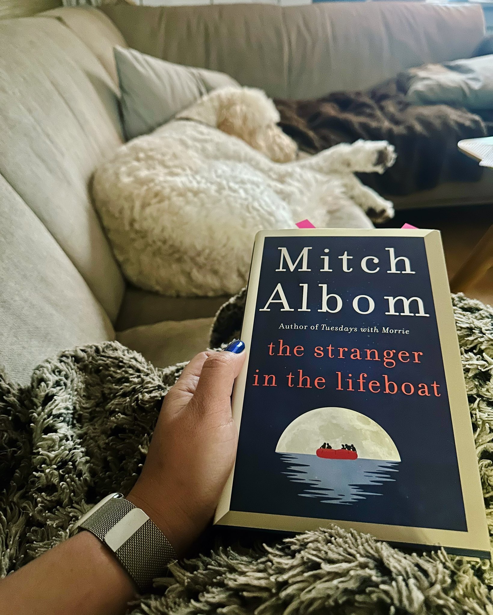 Mitch Albom New Book 2024 Release Tedi Abagael