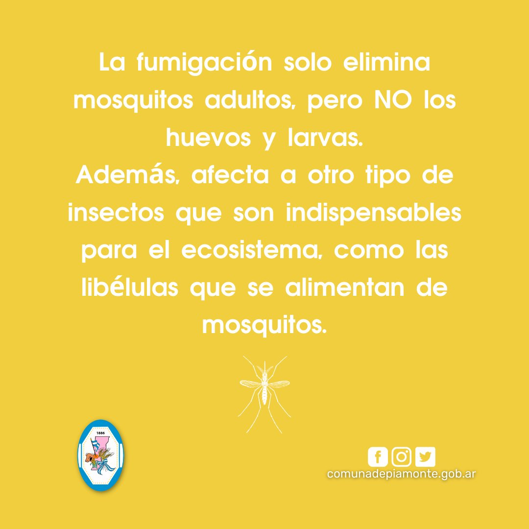 comunapiamonte's tweet photo. 🦟FUMIGACIÓN Y MOSQUITOS 
Por qué la fumigación no es efectiva para combatir los mosquitos y posibles contagios de Dengue, Zika y Chikungunya. 

👉Es fundamental que en nuestros hogares eliminemos recipientes que puedan acumular agua y de esta manera evitar su proliferación. https://t.co/NesfcgSqr8