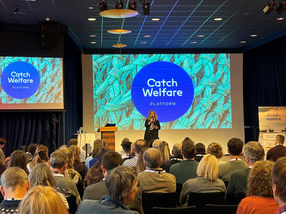 We recently attended the Catch Welfare Platform with @SAGB @seafishuk @NFFO_UK to explore practical solutions to improve animal welfare in fishing & seafood. #CWP23 brought together researchers, fisheries, tech business, Governments & NGOs. #WelfareSolutions #CodesOfPractice