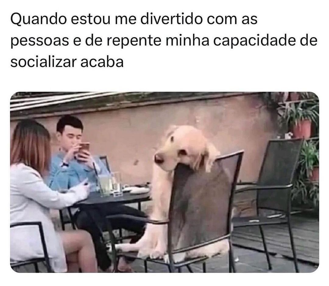 Minha psicóloga tweet media