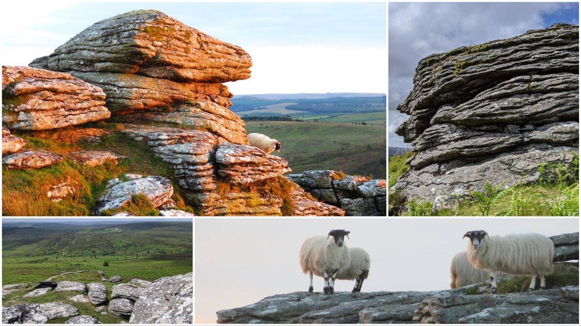 Bag all of the tors and rocks that are named on OS maps here: dartefacts.co.uk/classification…

There are presently 248 of them.

(Birch Tor)