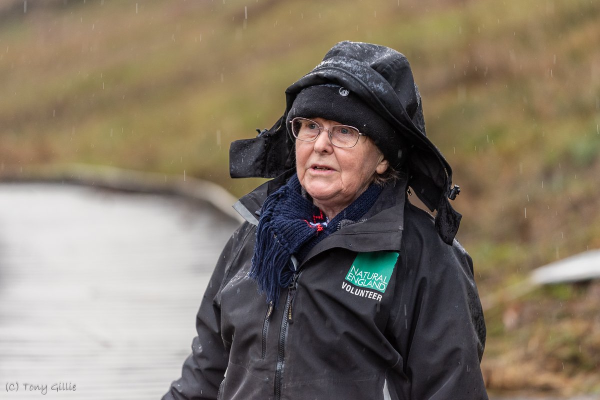 A very wet start for our first work party of the year, but with signs that Spring is just around the corner: Robins chasing each other through the scrub, and a Song Thrush in full voice. 
#OxfordshireFens #OX3