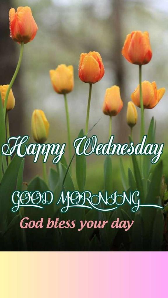 Keith Asakawa (@namio808) on Twitter photo 