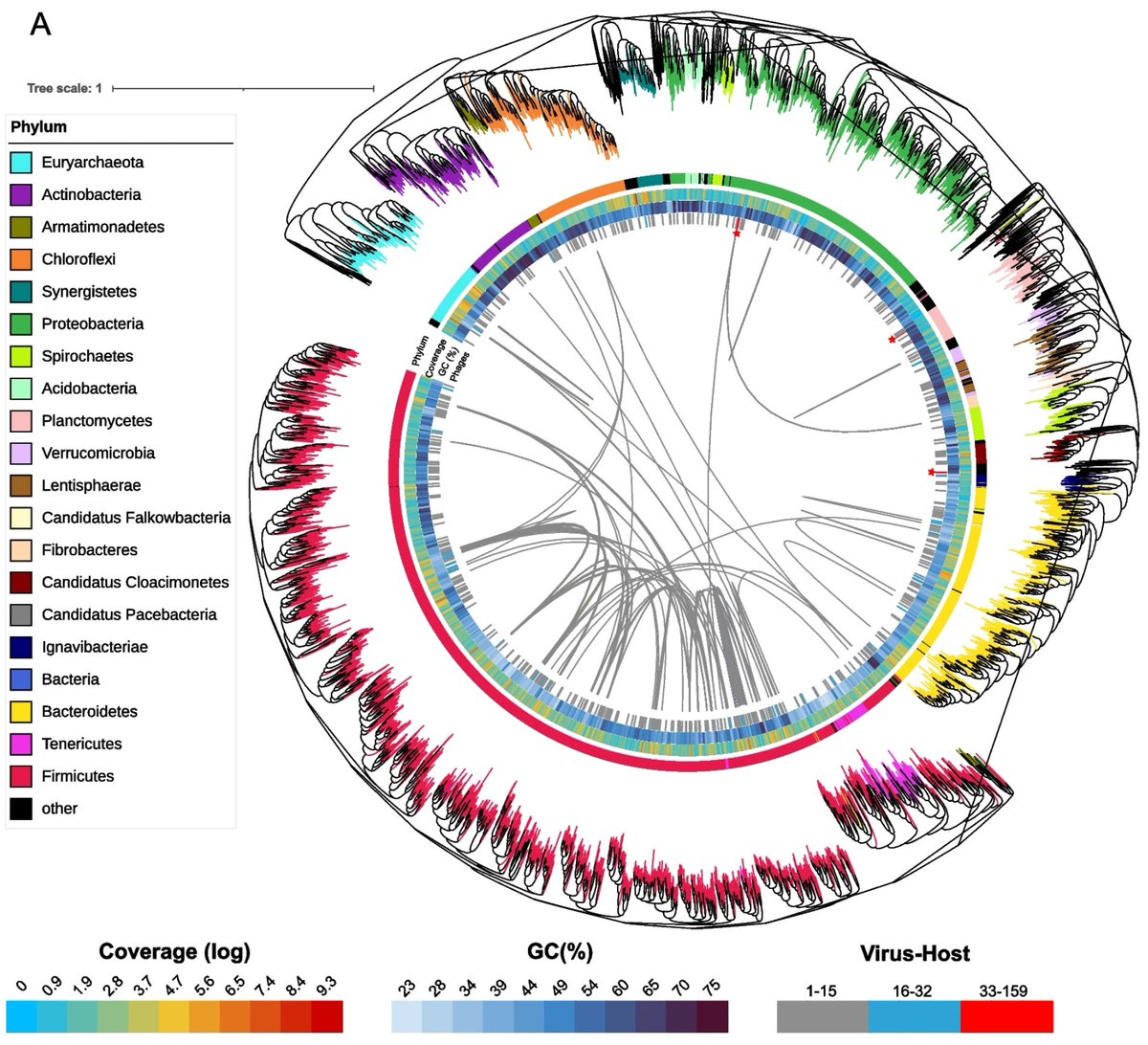 stefano campanaro (@campanarostef) on Twitter photo 1/2 Our paper "A unified compendium of prokaryotic and viral genomes from over 300 #anaerobic #digestion #microbiomes" is out! Kudos to our research team for their hard work! …ronmentalmicrobiome.biomedcentral.com/articles/10.11… #Microbiome <a href="/DiBio_UniPD/">Department of Biology – University of Padova</a> <a href="/LauraTreu/">Laura Treu</a> <a href="/guido_zampieri/">Guido Zampieri</a> <a href="/orellanaest/">Esteban Orellana</a> <a href="/GabrieleGhiotto/">Gabriele Ghiotto</a> 1/2 Our paper "A unified compendium of prokaryotic and viral genomes from over 300 #anaerobic #digestion #microbiomes" is out! Kudos to our research team for their hard work! …ronmentalmicrobiome.biomedcentral.com/articles/10.11… #Microbiome <a href="/DiBio_UniPD/">Department of Biology – University of Padova</a> <a href="/LauraTreu/">Laura Treu</a> <a href="/guido_zampieri/">Guido Zampieri</a> <a href="/orellanaest/">Esteban Orellana</a> <a href="/GabrieleGhiotto/">Gabriele Ghiotto</a>