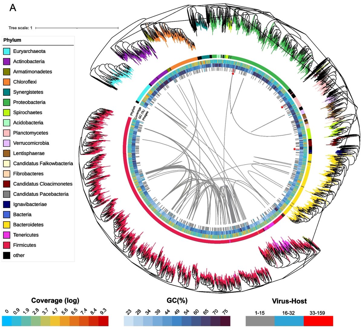 1/2 Our paper 'A unified compendium of prokaryotic and viral genomes from over 300 #anaerobic #digestion #microbiomes' is out! Kudos to our research team for their hard work! …ronmentalmicrobiome.biomedcentral.com/articles/10.11… #Microbiome @DiBio_UniPD @LauraTreu @guido_zampieri @orellanaest @GabrieleGhiotto