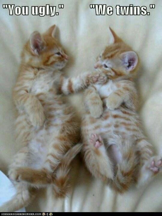 Keith Asakawa (@namio808) on Twitter photo 