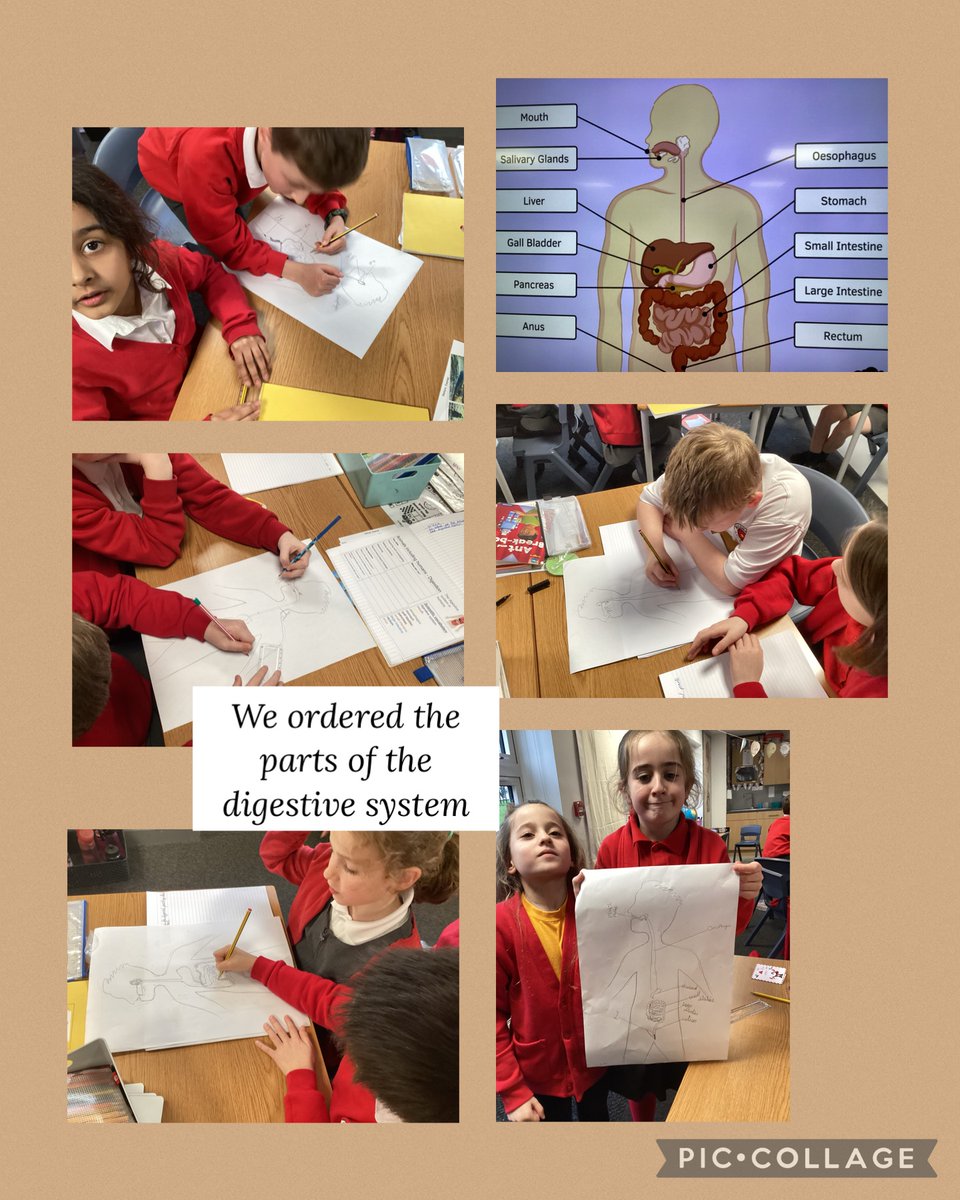 Mrs Parnell tweet media