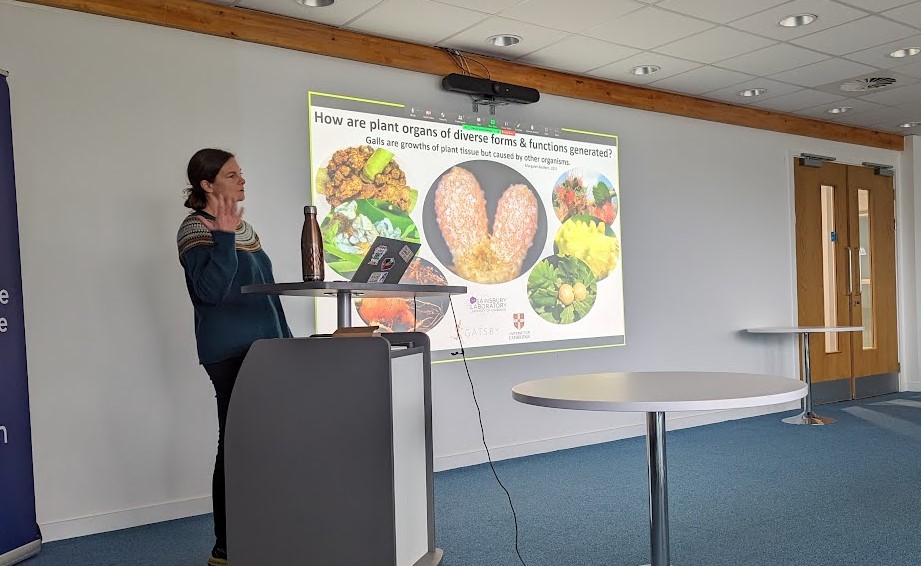 Brilliant seminar from @kathschiessl on the investigation of common principles that underpin plant organ plasticity and diversification. Thank you so much for sharing your amazing research with us!