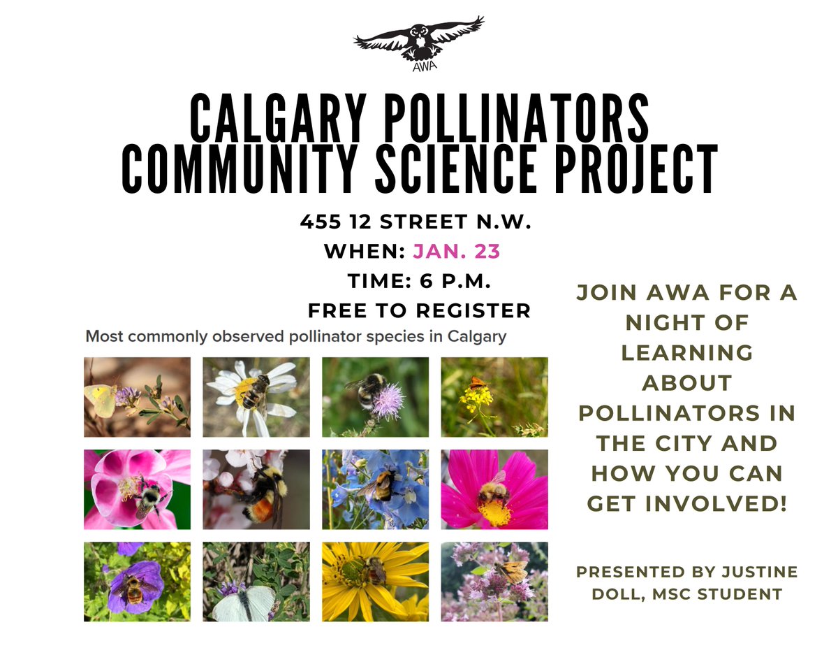 Come out to learn about pollinators on Jan. 23, 6 p.m.  at our Calgary office!

Register for free here: albertawilderness.ca/product/pollin…