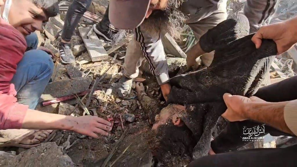 Fran Sevilla tweet media