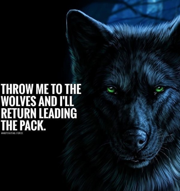 Keith Asakawa (@namio808) on Twitter photo 