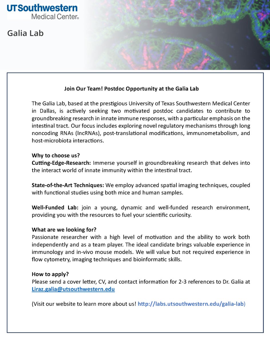 Liraz Galia tweet media