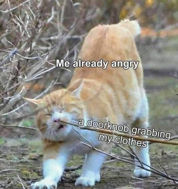 Keith Asakawa (@namio808) on Twitter photo 