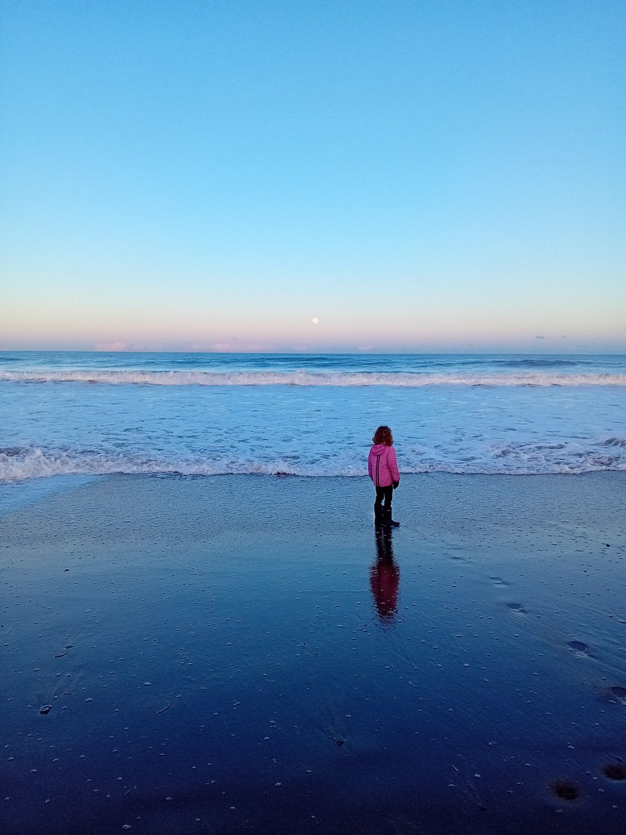 Jessie Greengrass tweet media