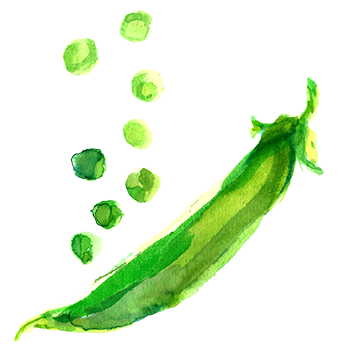 Bee Wilson tweet media