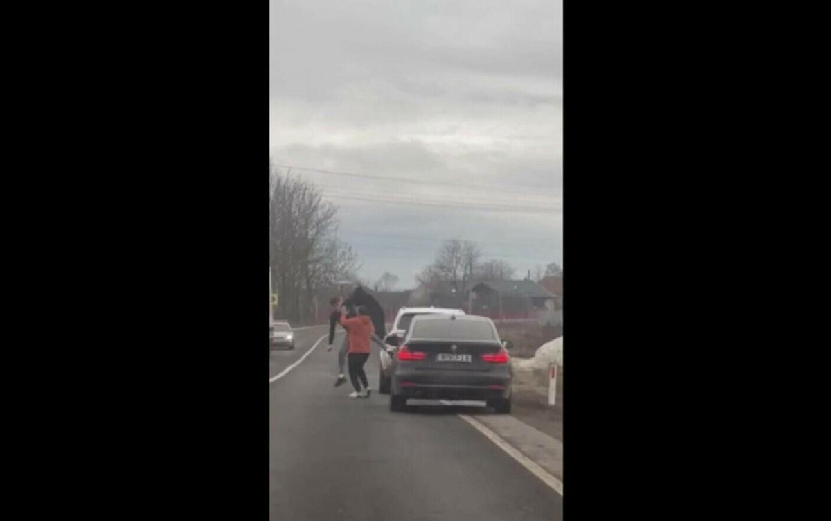StirileProTV's tweet photo. Bătaie până la sânge între doi șoferi, pe DN1. Și două femei au fost lovite. Reacția uluitoare a Poliției https://t.co/ANiNChk67h https://t.co/vqhNkkxPw5