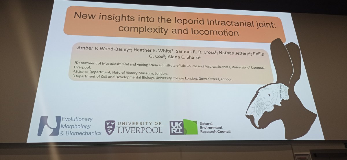 Anatomical Society (@anat_soc) on Twitter photo Now speaking is <a href="/apwoodbailey/">Dr Amber P. Wood-Bailey</a> <a href="/LivUni/">University of Liverpool</a>, discussing new insights into the leporid intracranial joint: complexity and locomotion. #AnatSocWinter #anatomy Now speaking is <a href="/apwoodbailey/">Dr Amber P. Wood-Bailey</a> <a href="/LivUni/">University of Liverpool</a>, discussing new insights into the leporid intracranial joint: complexity and locomotion. #AnatSocWinter #anatomy