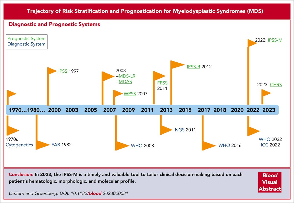 The trajectory of prognostication and risk stratification for patients with myelodysplastic syndromes
loom.ly/Y0HFuZE #miyeloidneoplasia #reviewarticles #reviewseries