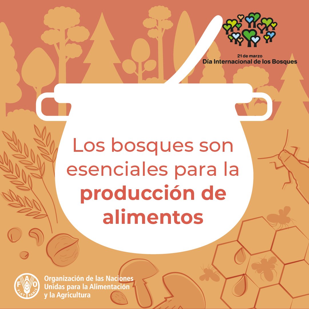 FAO Américas tweet media