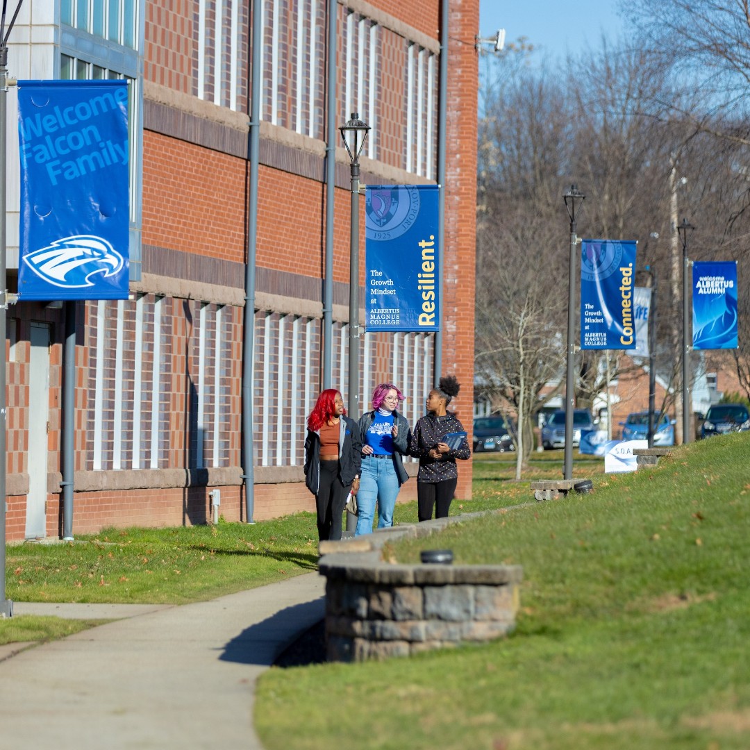 AlbertusSocial's tweet photo. Dreaming of a Falcon-filled campus... See you in 2 weeks! 💙😊
#AlbertusMagnusCollege #FearlessFalcons #CollegeBreak #College https://t.co/cU0zT5cOkV
