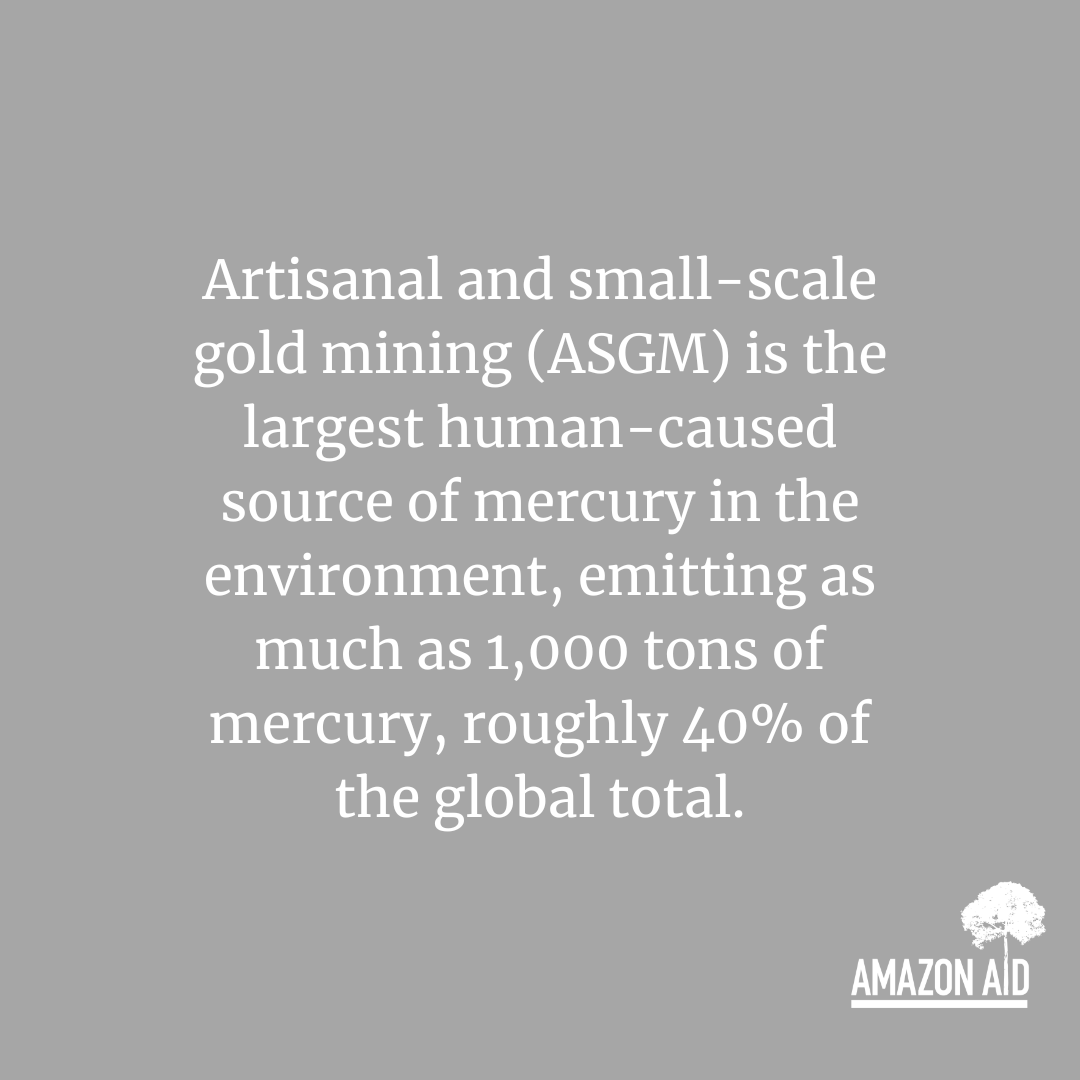 AmazonAidF's tweet image. Exposure to mercury affects the brain, nervous system, kidneys, and lungs and can include symptoms such as lower IQ, sensory impairment, susceptibility to disease, disturbed sensation &amp;amp; a lack of coordination. 

amazonaid.org/threats-to-the…