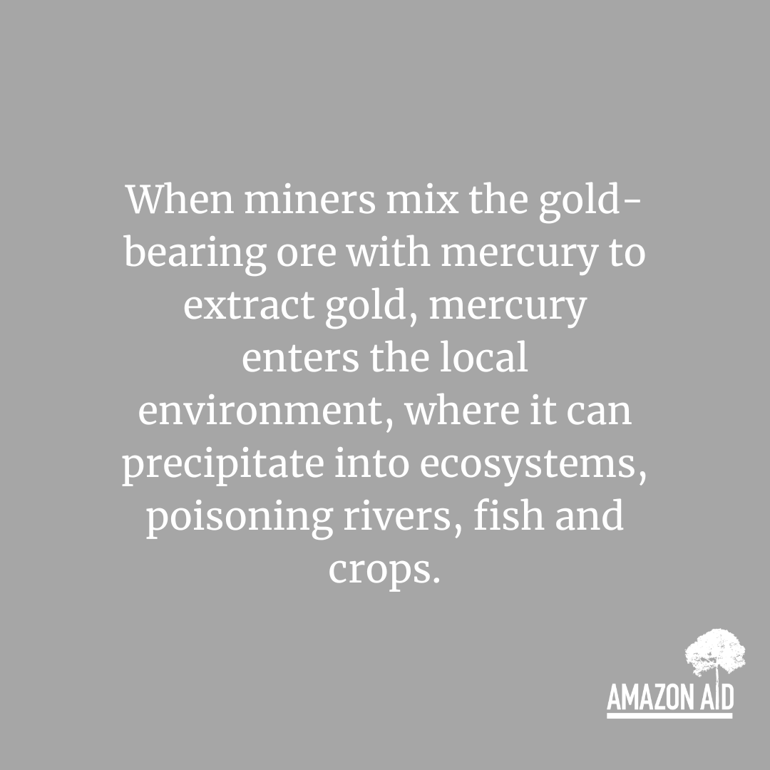 AmazonAidF's tweet image. Exposure to mercury affects the brain, nervous system, kidneys, and lungs and can include symptoms such as lower IQ, sensory impairment, susceptibility to disease, disturbed sensation &amp;amp; a lack of coordination. 

amazonaid.org/threats-to-the…
