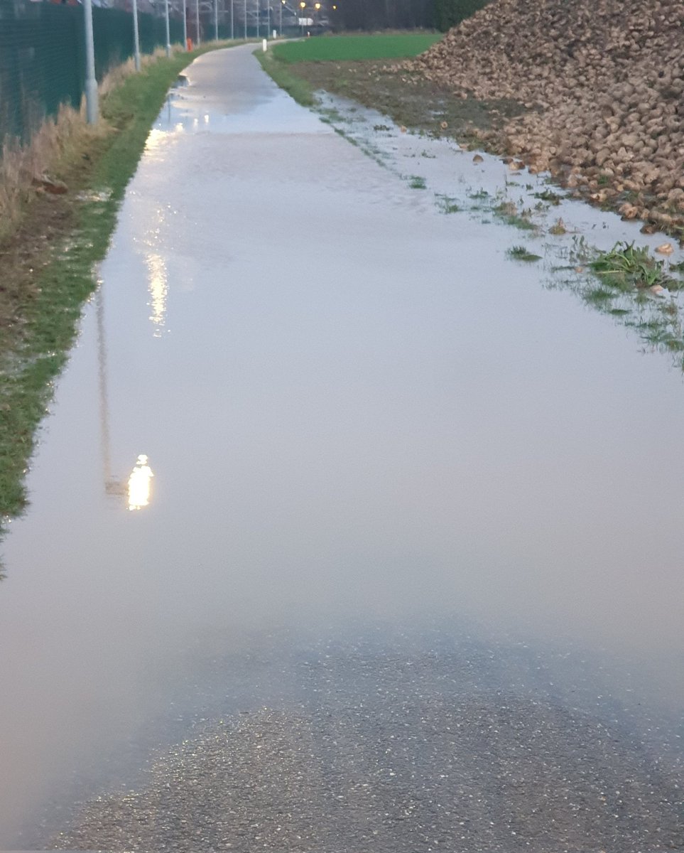 Jan Denys tweet media