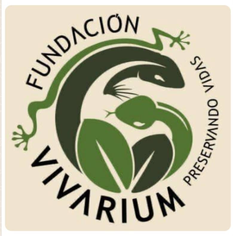 YY5CAV's tweet image. SERVICIO PÚBLICO: En caso de (Mordeduras de Serpientes), FUNDACIÓN VIVARIUM, que es una ONG sin fines de lucro, para la prevención, investigación y casos de emergencia, llamar por: 0414-1525946, 0424-4085311 y 0414-3423088. Favor compartir este mensaje. Podrías salvar una vida.