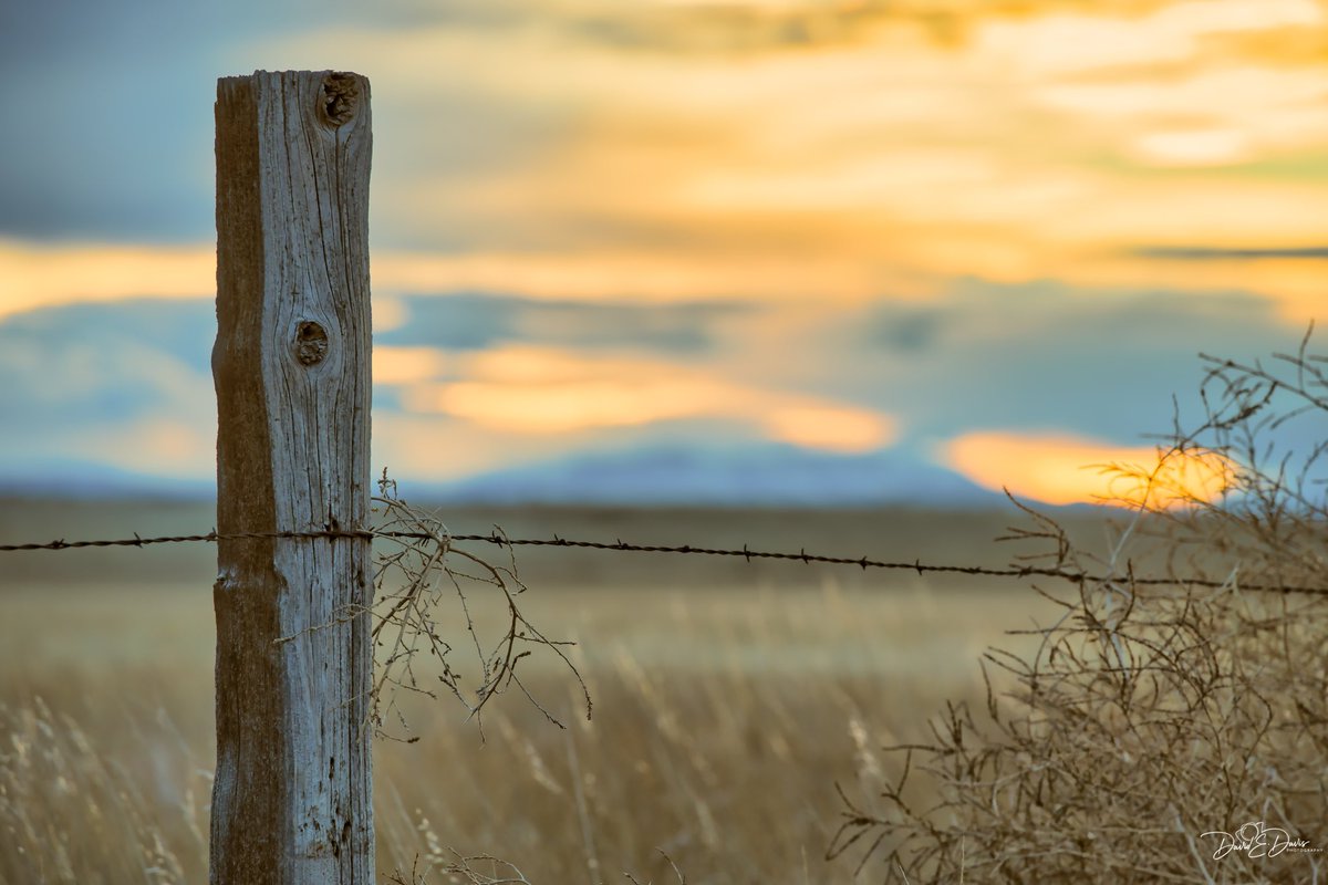 Good morning from northern Colorado! ☕️☀️ I love exploring this region, and this rustic fence post in Carr, CO captures the charm of rural life on the plains. I think the simple sunset adds to the scene's tranquility. Have a great Wednesday everyone!